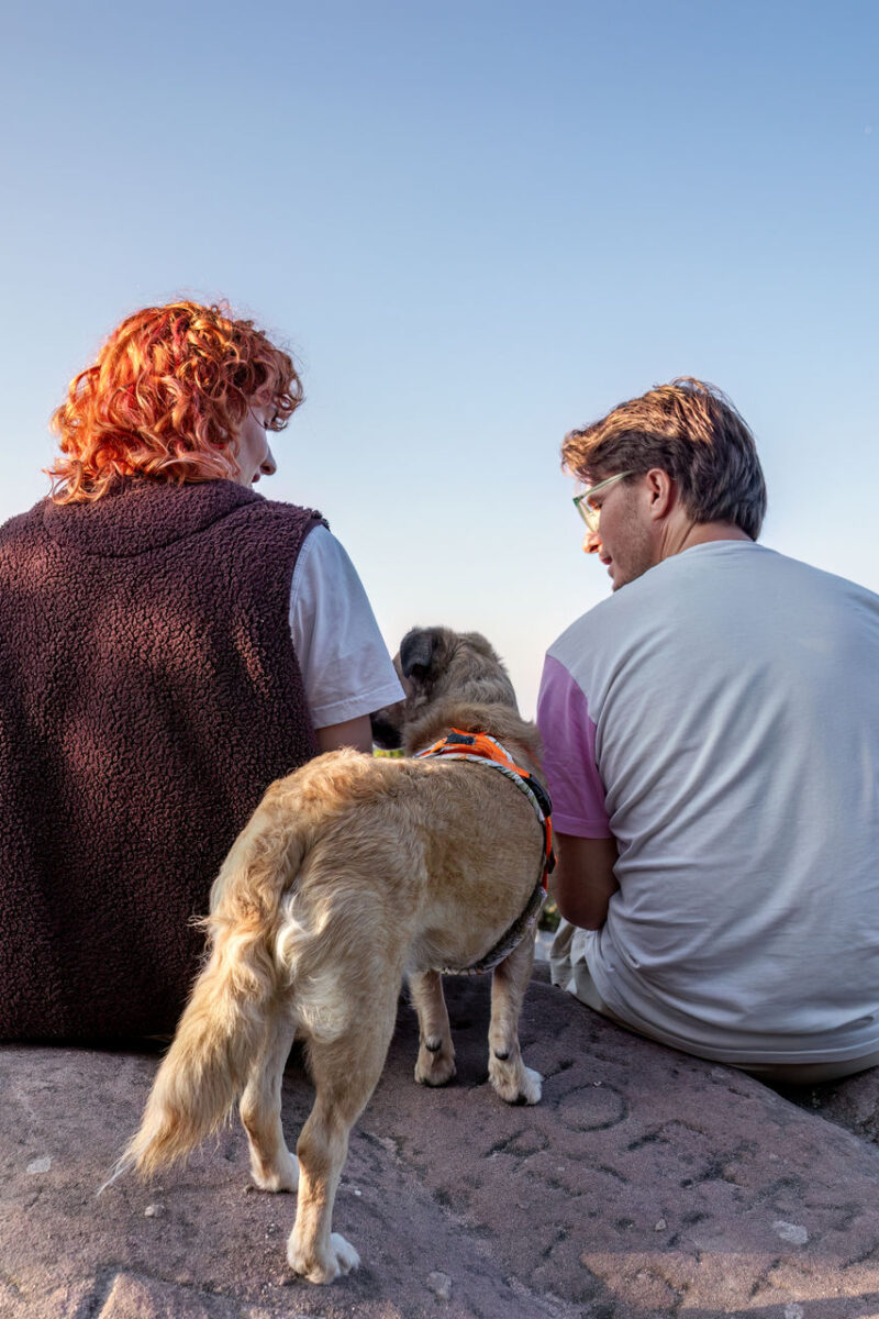 66 - 63 - 035A2561-Bearbeitet