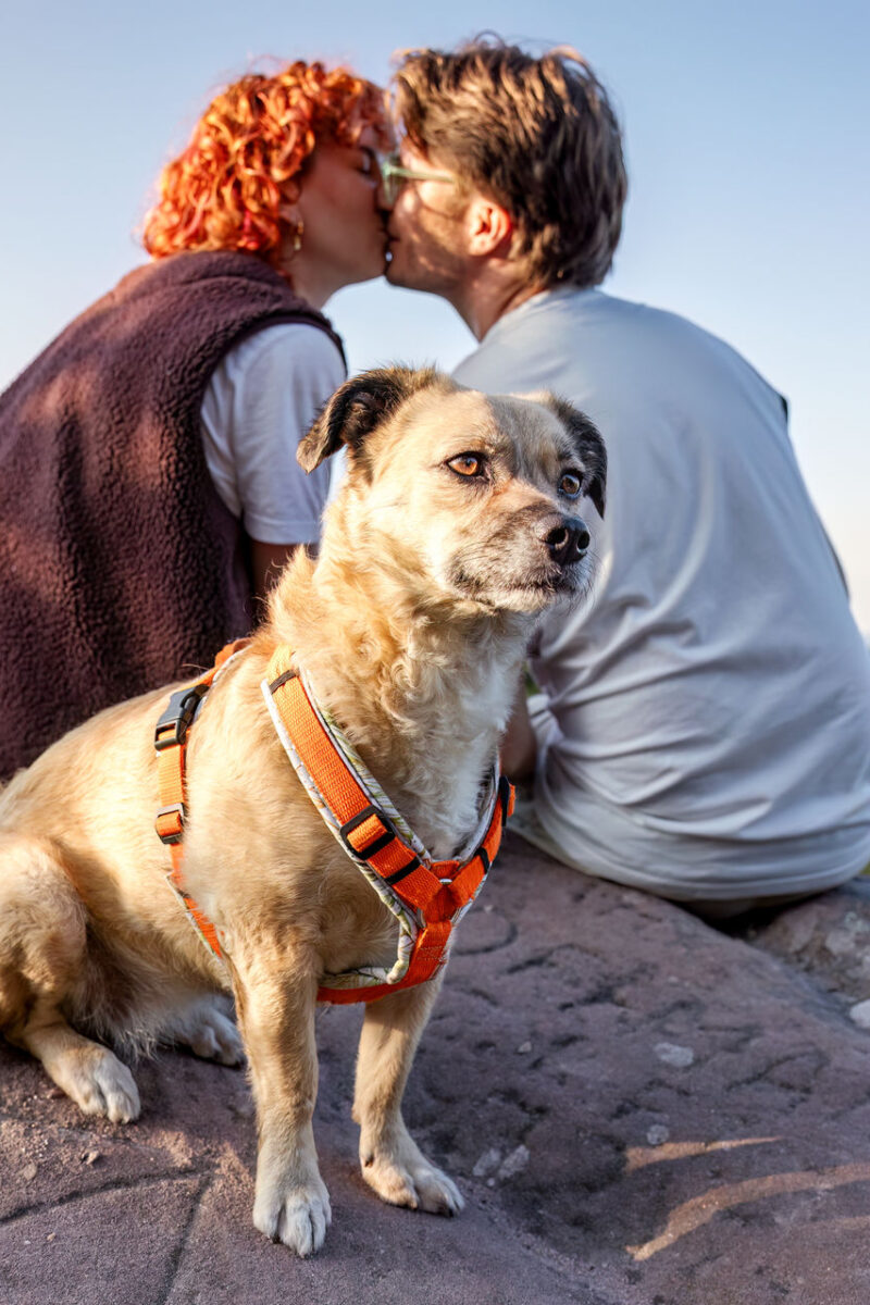 69 - 66 - 035A2635-Bearbeitet