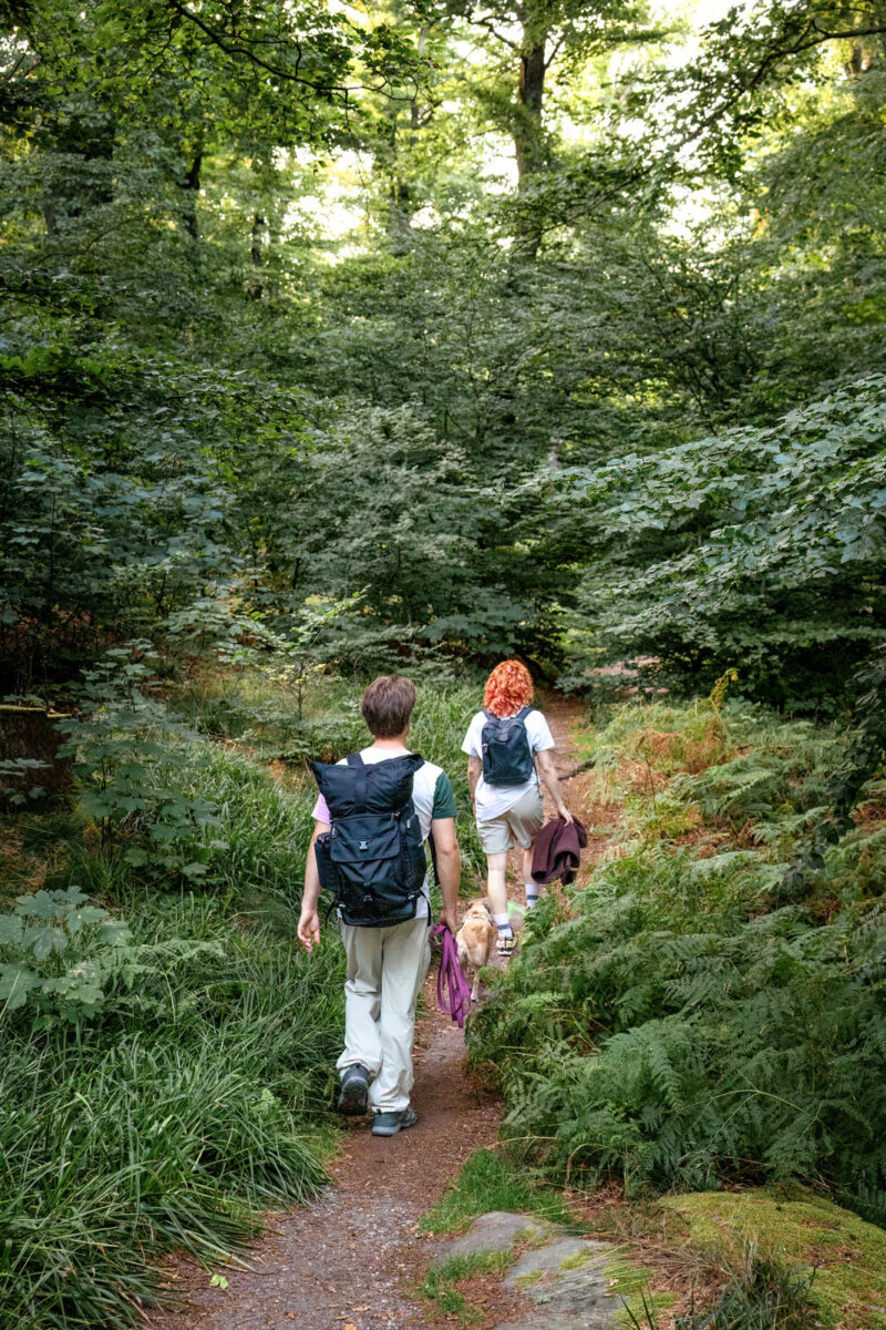 9 - 8 - 035A1299-Bearbeitet-2