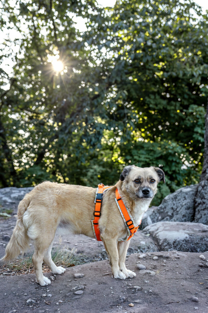 92 - 89 - 035A3063-Bearbeitet