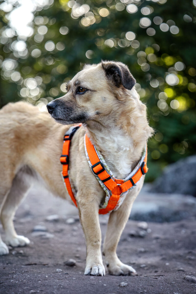 96 - 93 - 035A3089-Bearbeitet