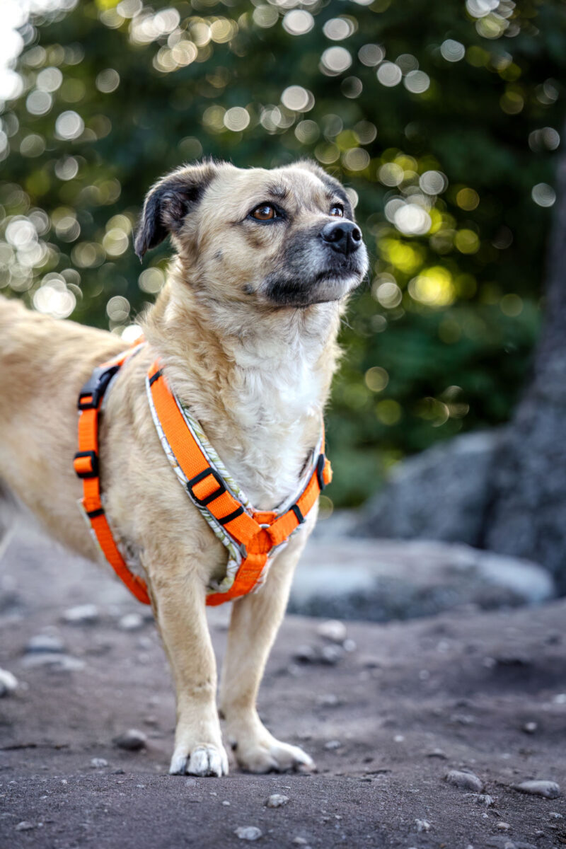 98 - 95 - 035A3101-Bearbeitet