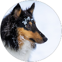 Sabrina H. profile picture