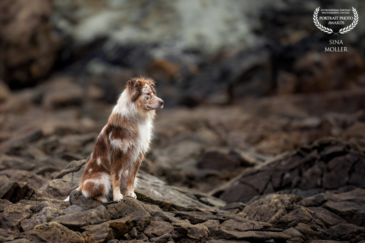 2025 Portrait Photo Awards