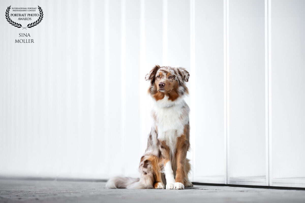 2026 Portrait Photo Awards