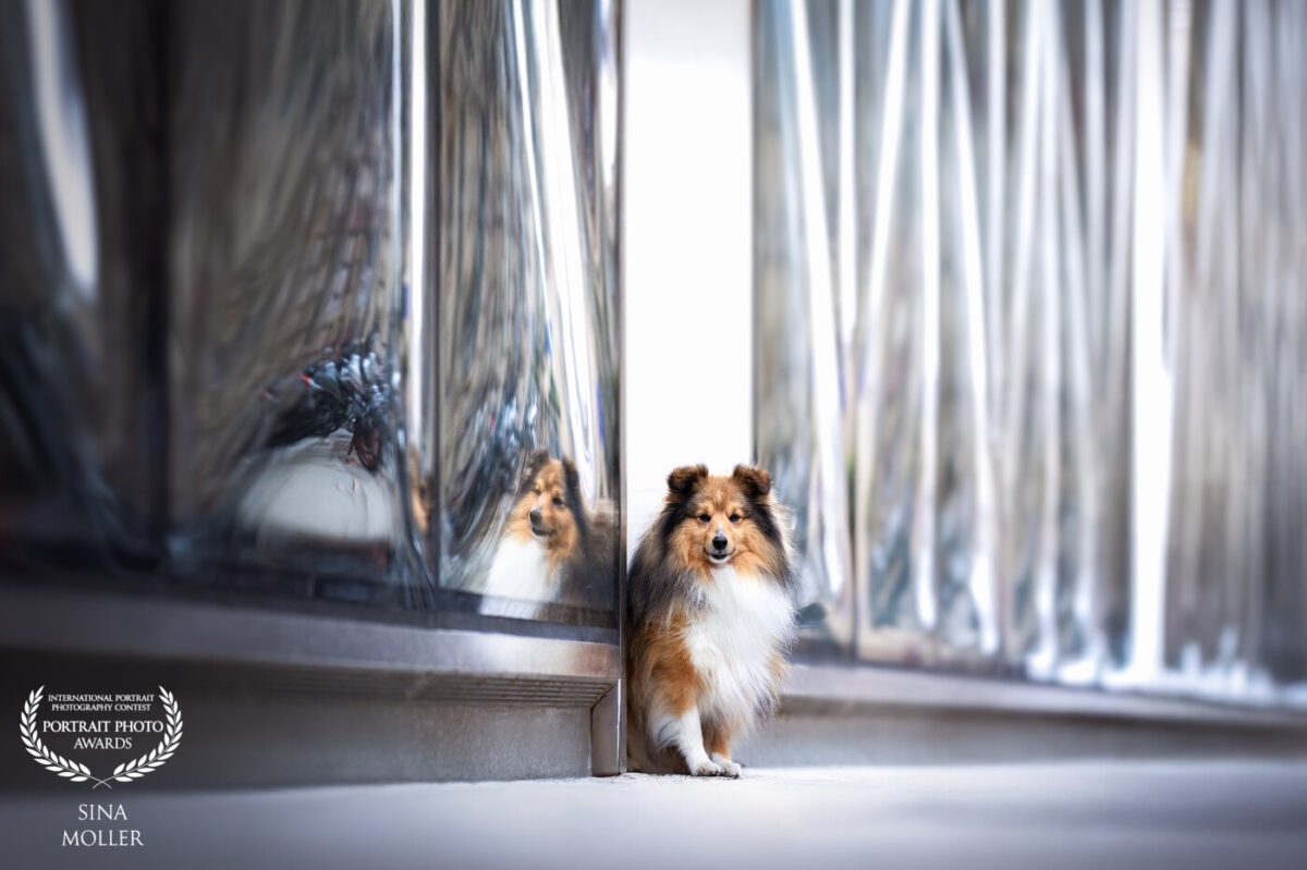 2026 Portrait Photo Awards